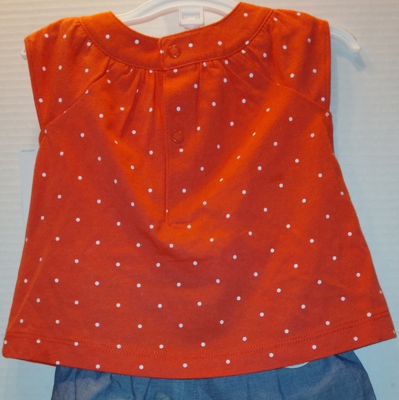 NWT Beautiful Newborn Girl Carter's 2pc Summer Shorts Set - Picture 2 of 8